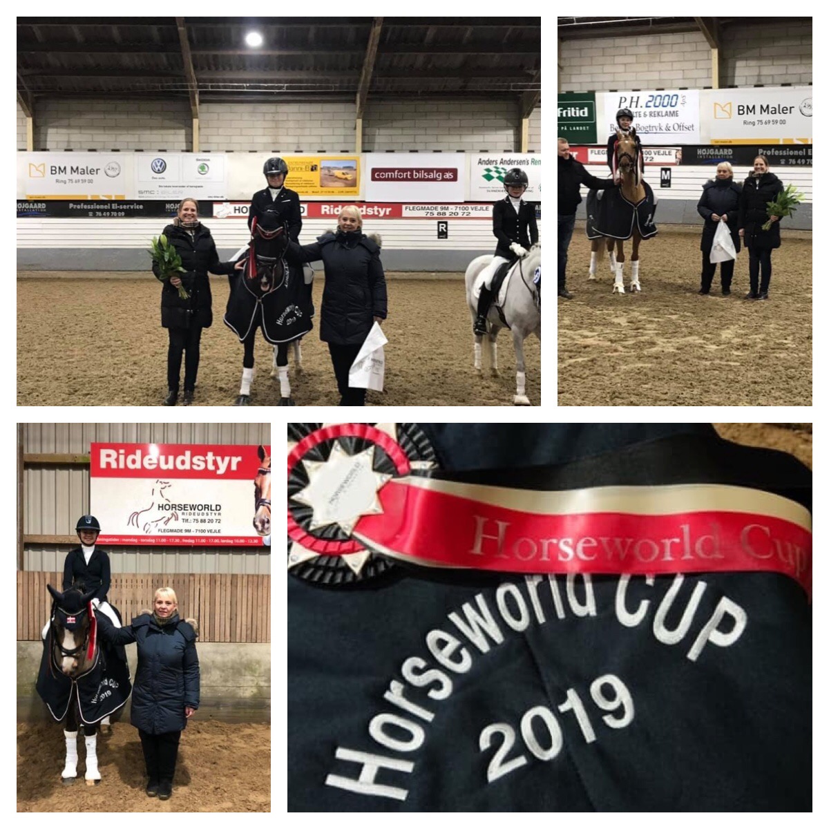Horseworld Cup
